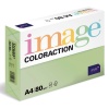 Papr Coloraction A4, 80 g, pastelov zelen/Forest, 500 list